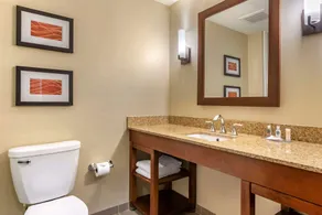 Comfort Inn PA Turnpike - I-81 - Salle de bain