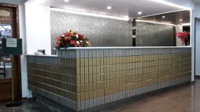 Grand Hotel Pavone - Reception