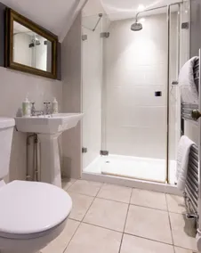 The Bull And Swan - Bathroom