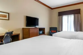 Comfort Inn & Suites Statesboro - University Area - Chambre
