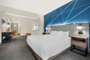 Comfort Suites Fort Wayne North - Chambre