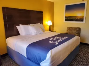Days Inn by Wyndham Atlanta/Southlake/Morrow - Chambre