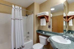 Stoney Creek Hotel Peoria - Salle de bain