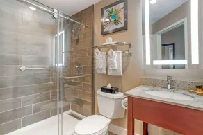 Best Western Plus Greenville I-385 Inn & Suites - Salle de bain