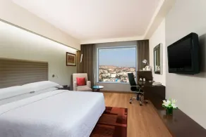 Four Points by Sheraton Jaipur, City Square - View from room