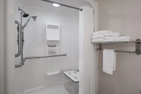 Holiday Inn Express St. Petersburg North / I-275 by IHG - Salle de bain