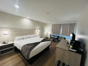 Pinewood Motor Inn - Chambre