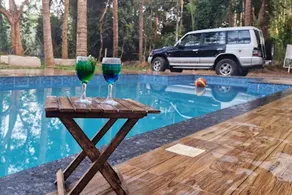 Paddyfield Inn - Pool