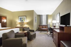 Comfort Inn Memphis Downtown - Chambre