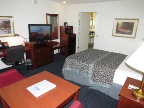 Days Inn by Wyndham Grand Junction - Chambre