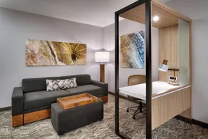 SpringHill Suites by Marriott El Paso Airport - Chambre