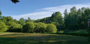 Hawks House Inn - Udsigt fra værelset