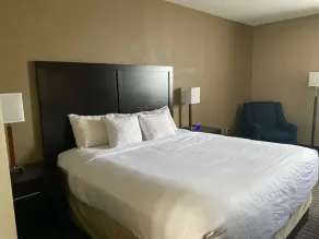 SureStay Plus by Best Western Jonestown Lebanon Valley - Habitación