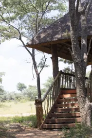 Honeyguide Ranger Camp - Ausblick vom Zimmer