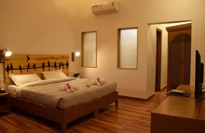 Kumbhalgarh Forest Retreat - Camera
