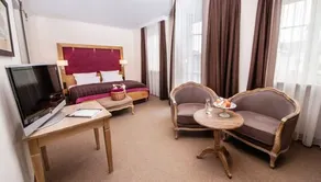 Wellness & Thermal Retreat Das Mühlbach - Room