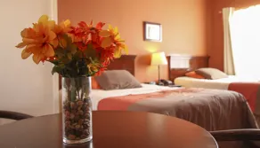 Harmony Motel - Vue de la chambre