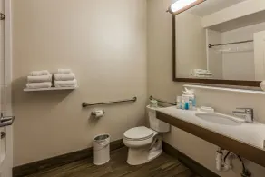 Hampton Inn Colorado Springs-Airport - Room