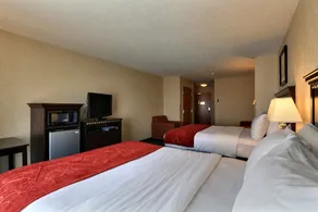 Comfort Suites Canton - Detroit - Chambre