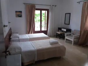 Harrys bar & apartments - Room