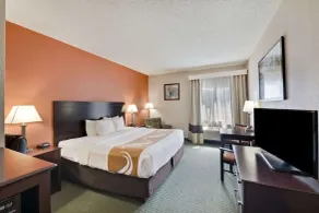 Quality Inn Cedar Park - Austin Northwest - Chambre