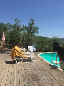 Lodge Ricavo con piscina panoramica - Udsigt fra værelset