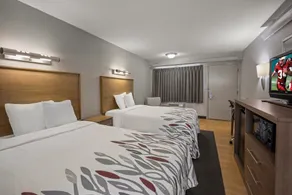 Red Roof Inn Greensboro Airport - Chambre
