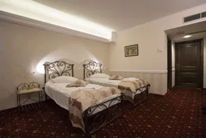 Hotel Aviator Boutique - Room