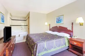 Ashland Studio Inn Richmond North near Kings Dominion -Listing Partner - Chambre