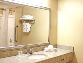 Comfort Inn & Suites Syracuse-Carrier Circle - Salle de bain