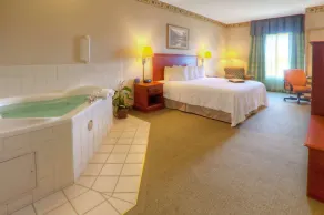Hampton Inn Great Falls - Chambre