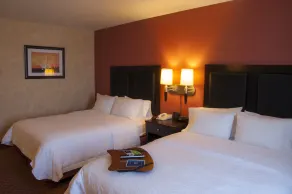 Hampton Inn by Hilton Ciudad Victoria - Room