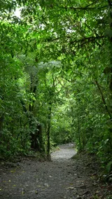 Rio Celeste Dreams - Sehenswürdigkeit