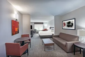 Holiday Inn Express Hotel and Suites Shreveport South Park Plaza by IHG - Room