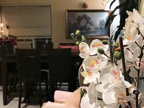 Cactus Inn and Suites - Hall