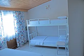 Geyikli Gelincik - Quarto