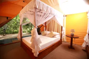 Yala safari and Relax camping - Camera