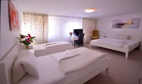 Alpha Hotel Garni - Camera