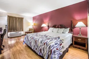 Red Roof Inn Caryville - Chambre