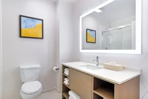 Comfort Suites Northside Hospital Gwinnett - Bathroom