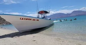 Costa del Sol Hotel & Sportfishing - Fishing