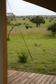 Anantya Serengeti - View from room