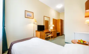 Hotel Millennium - Room