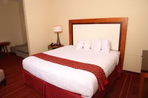 Days Inn by Wyndham Semmes Mobile - Chambre