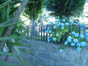 Quinta da Cartida - Piscina