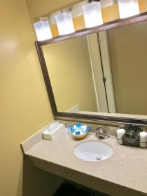 Best Western Falcon Plaza - Bowling Green - Bathroom