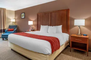 Comfort Inn & Suites Lawrenceburg - Chambre