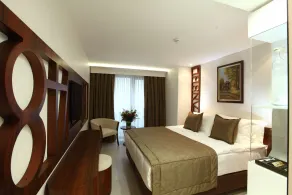 Victory Hotel & Spa Istanbul - Room