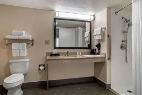 Quality Inn McDonough Atlanta South - Salle de bain