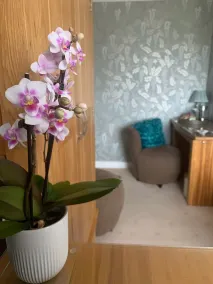 Ramsey House - Luxury Licensed B&B - Parking and Guest Lounge - Værelse